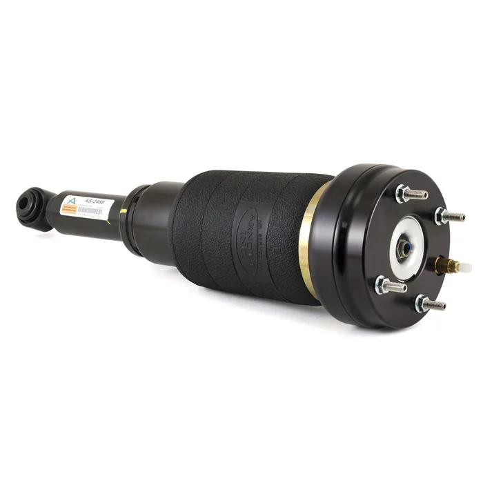 Arnott Industries AS-2488 – Suspension Strut Assembly (Rear)