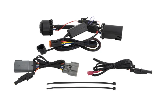 Diode Dynamics C1R Hitch Mount Harness for F-150 15-20 – DD4149