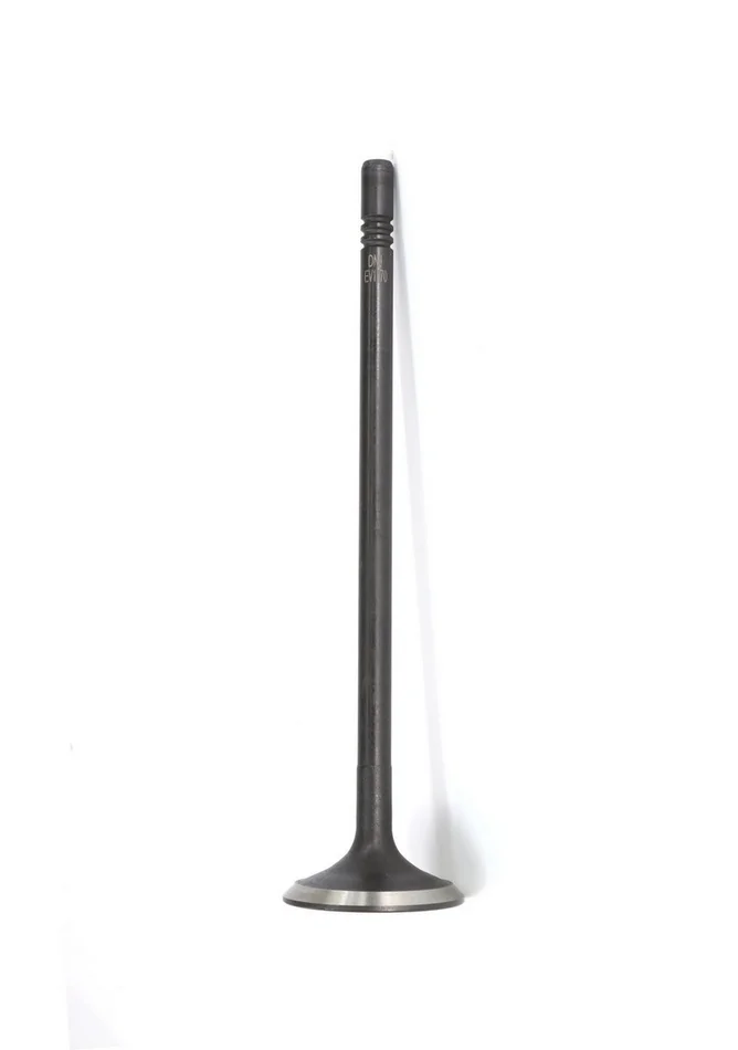 DNJ Engine Components EV1170 – Engine Exhaust Valve