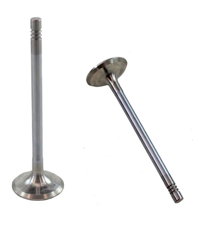 DNJ Engine Components EV323 – Engine Exhaust Valve