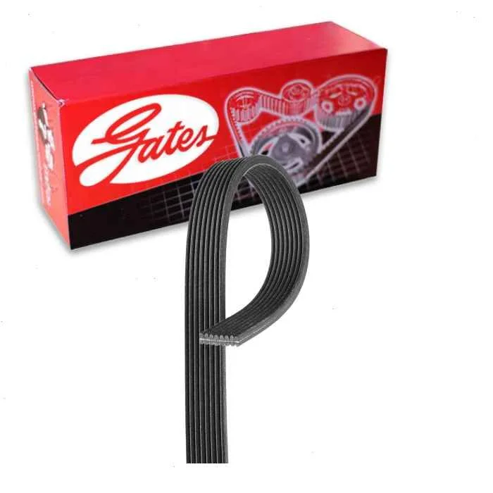 Gates Micro-V Supercharger Serpentine Belt for 2014-2015 Jaguar XJR 5.0L V8