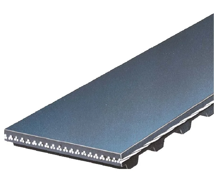 Gates T319 – Engine Timing Belt