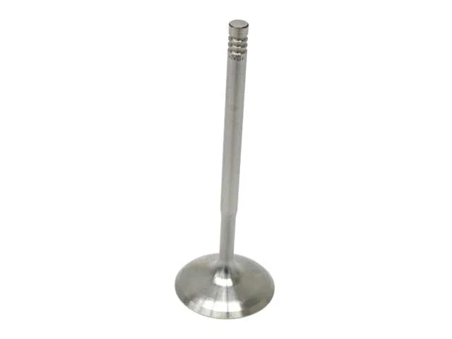 Genuine BMW 11347541555 – Engine Intake Valve