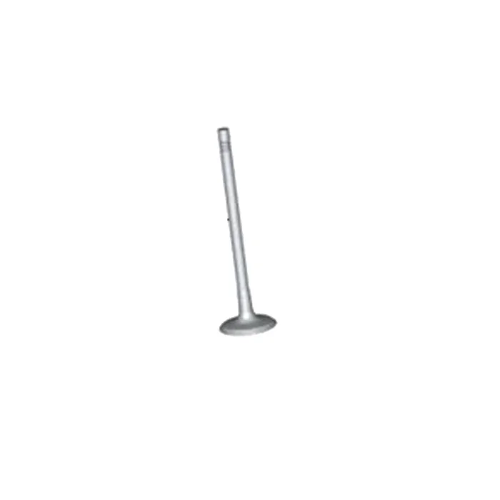 Genuine BMW 11348605662 – Engine Intake Valve