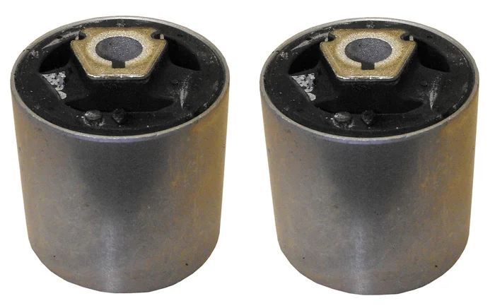 Rein AVB0056P – Suspension Control Arm Bushing Kit (Front Lower Inner Forward)