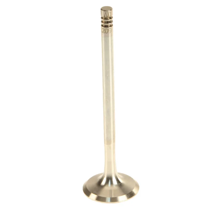TRW 111209 – Engine Exhaust Valve